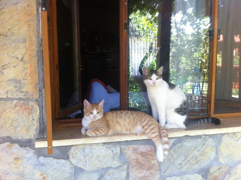 Olympos Mitos Hotel Exterior photo
